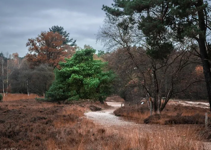 Edelhert Domek alpejski Hulshorst