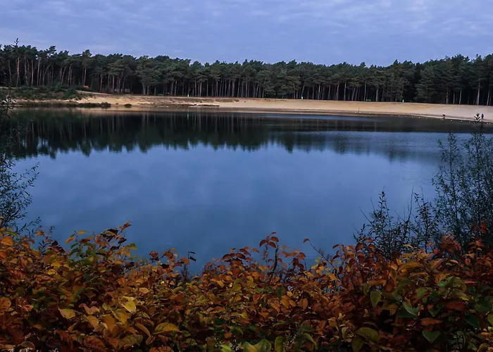 Edelhert * Hulshorst