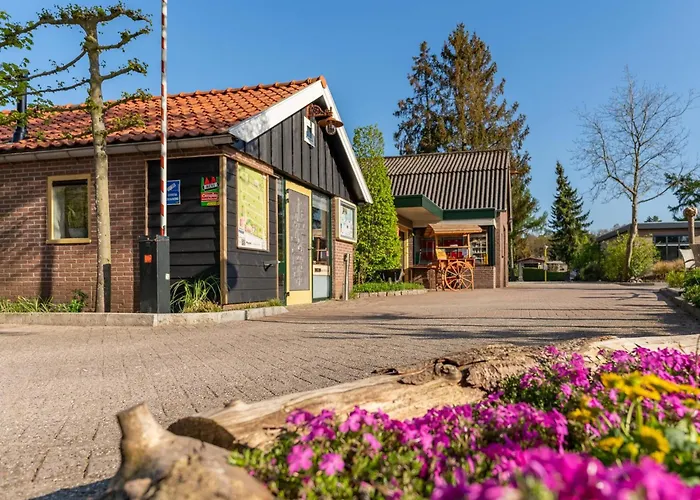 Edelhert Chalet Hulshorst